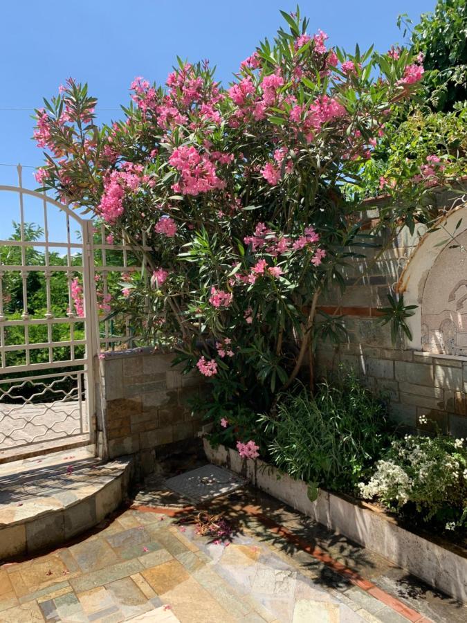 Gemuetliches Appartement In Ano Poli Selanik Dış mekan fotoğraf