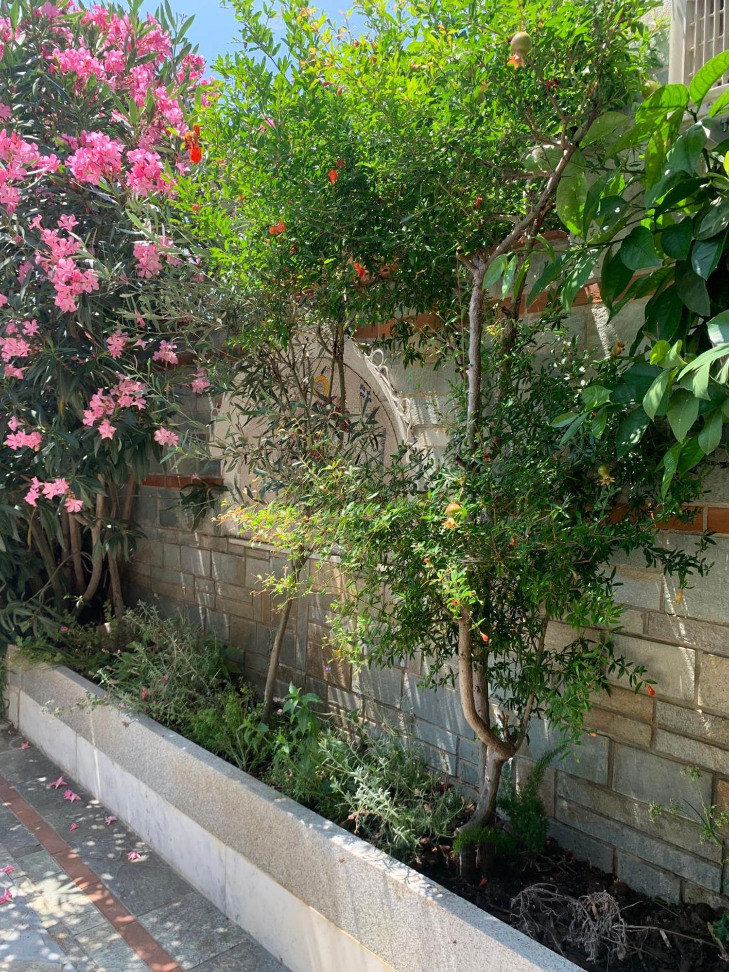 Gemuetliches Appartement In Ano Poli Selanik Dış mekan fotoğraf