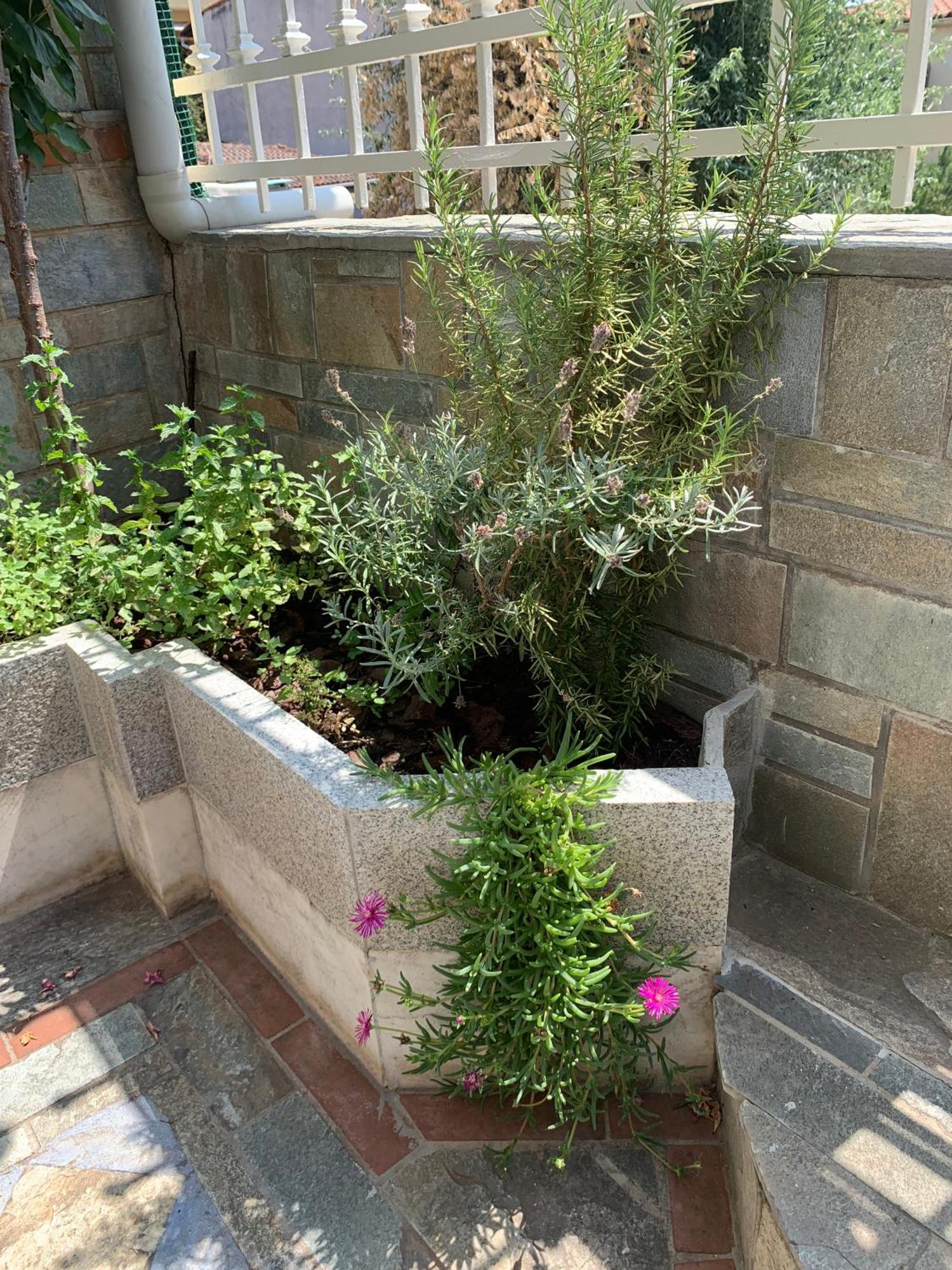 Gemuetliches Appartement In Ano Poli Selanik Dış mekan fotoğraf