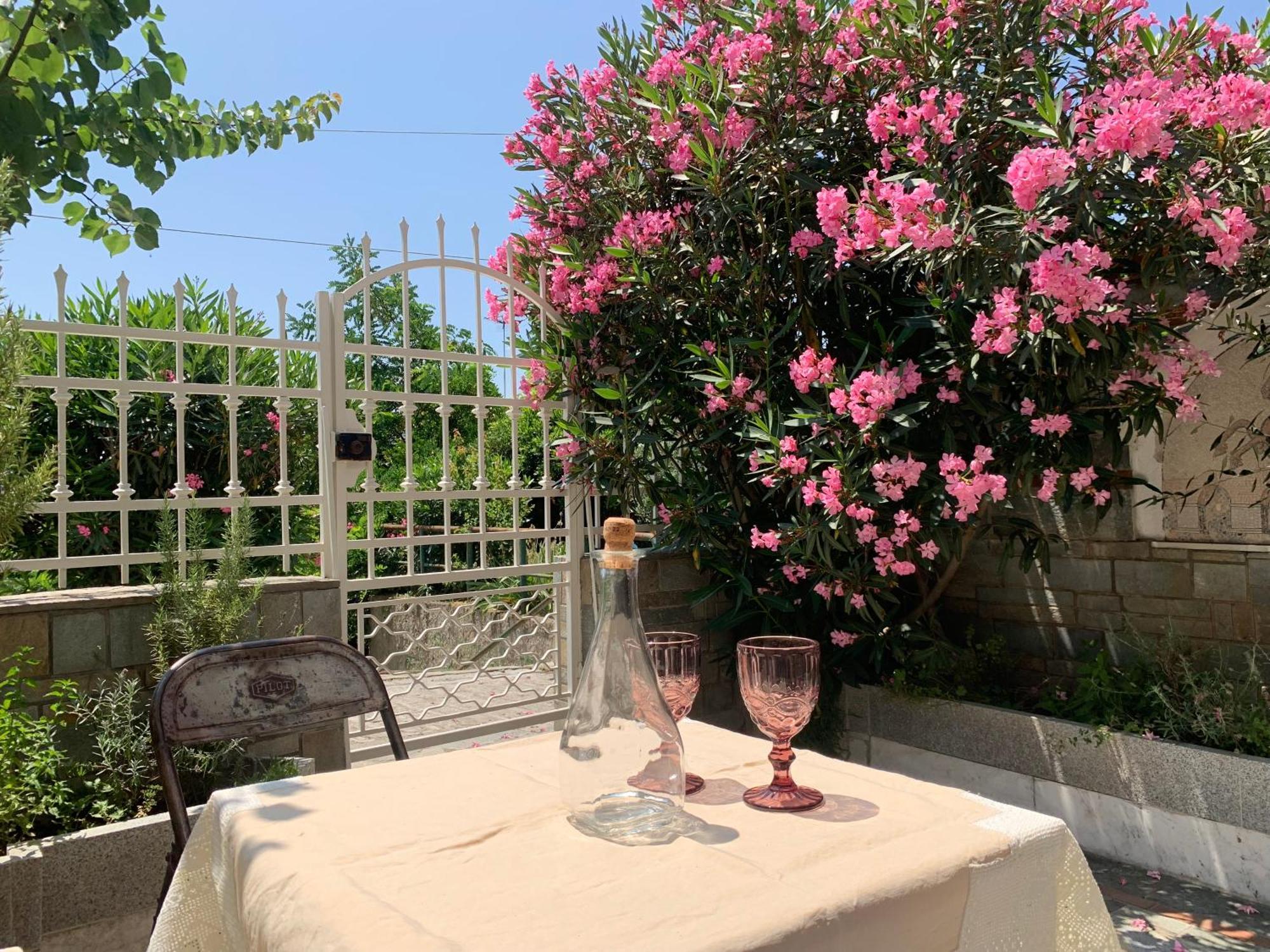 Gemuetliches Appartement In Ano Poli Selanik Dış mekan fotoğraf