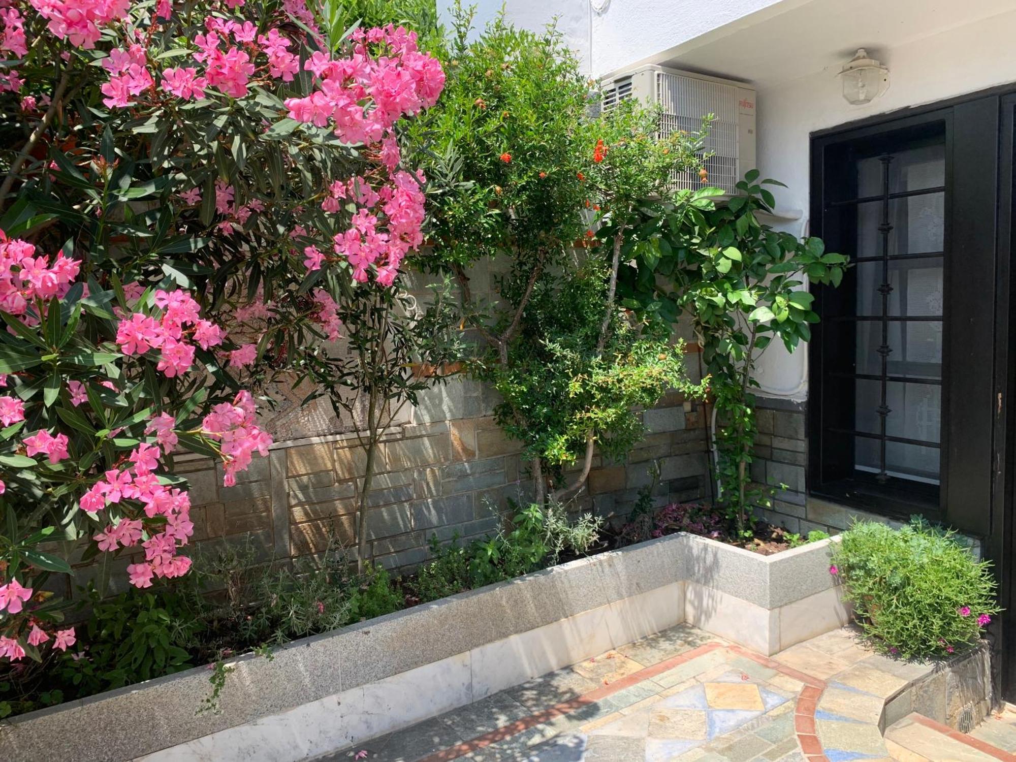 Gemuetliches Appartement In Ano Poli Selanik Dış mekan fotoğraf